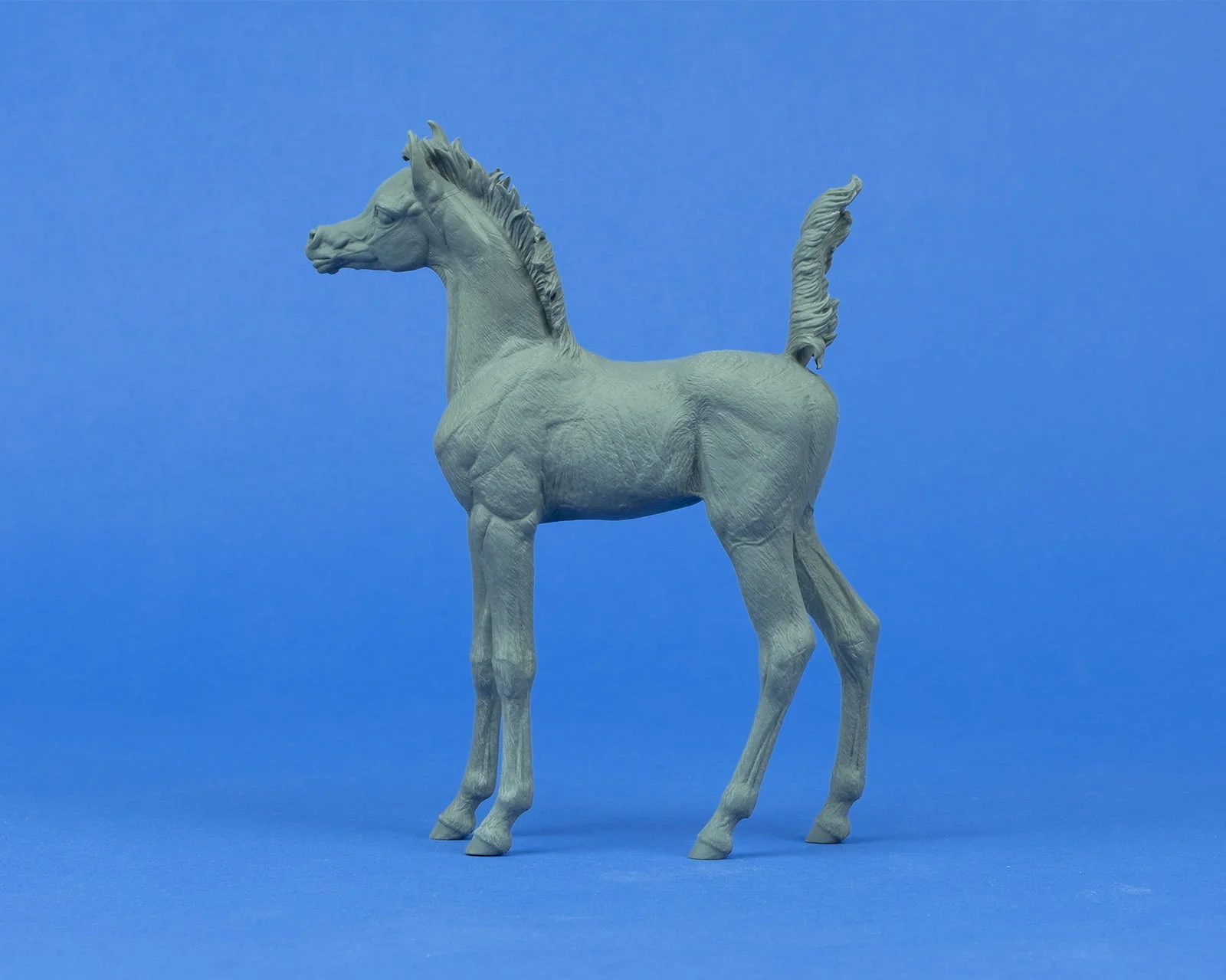 Zoey Arabian Filly 1:9