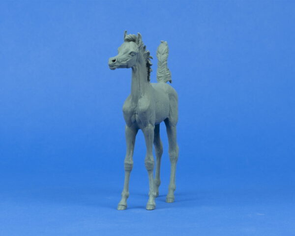 Zoey Arabian Filly 1:9